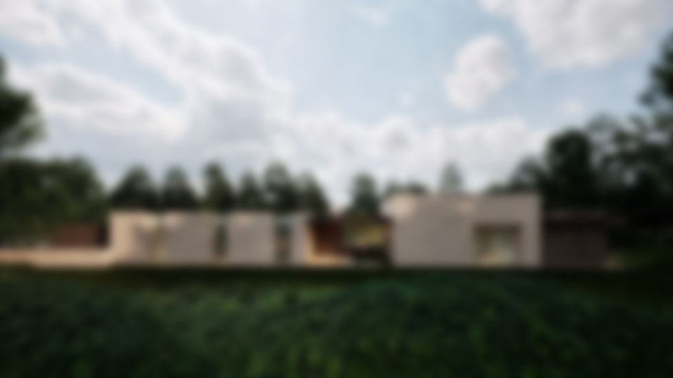 Image9.2 blurred.jpg