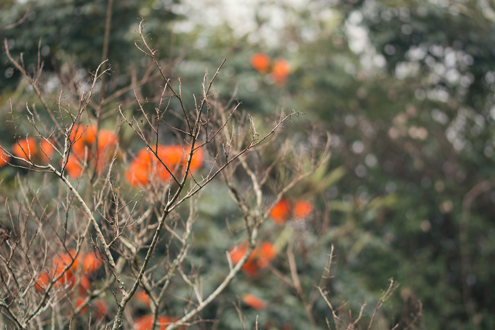 In the Mist she was standing