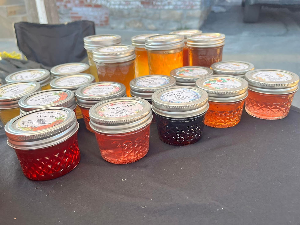 Thumbnail: Various Jellies