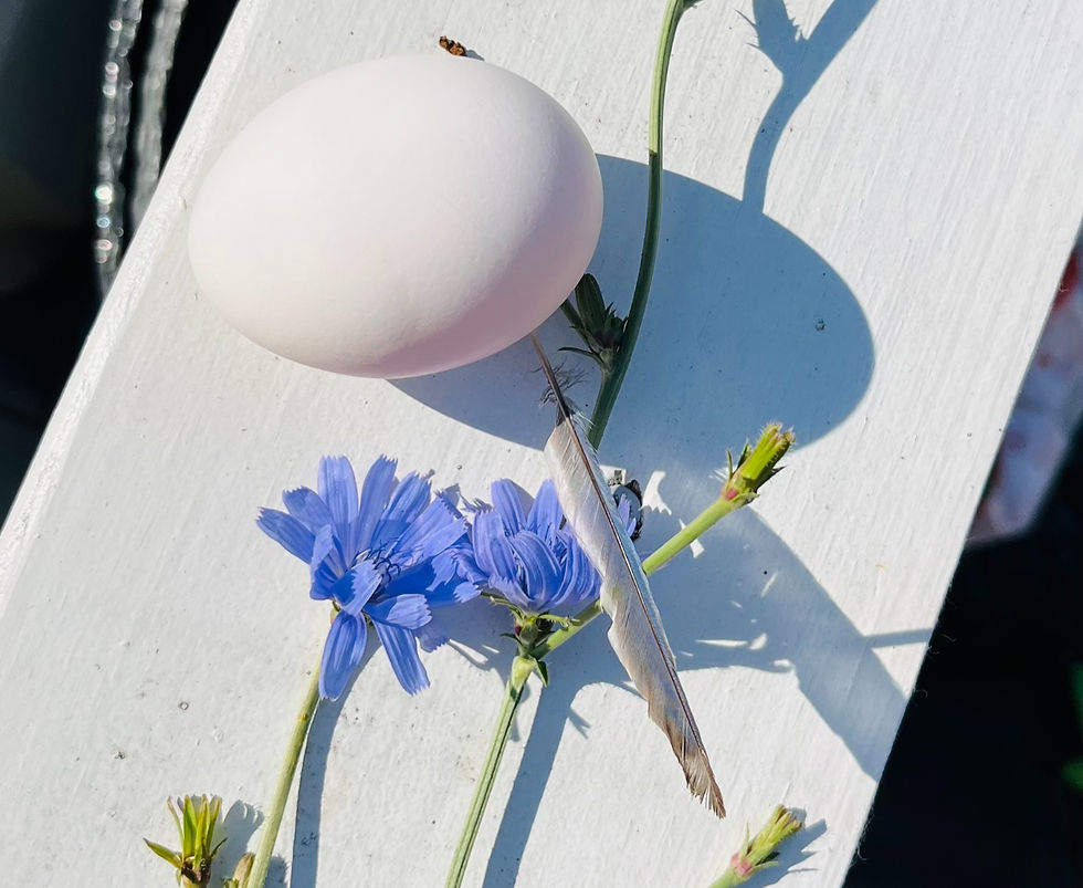 The Retired Bulimic: Part 2