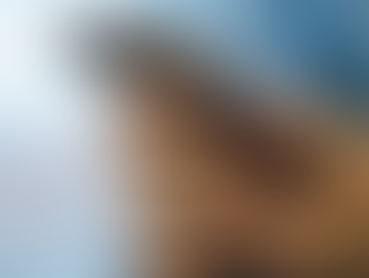 Quais as vantagens de contratar um seguro para Smartphone?