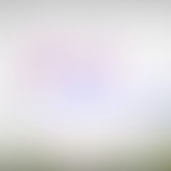 Passover & Easter: Two Spring Traditions Rooted in Renewal and Hope