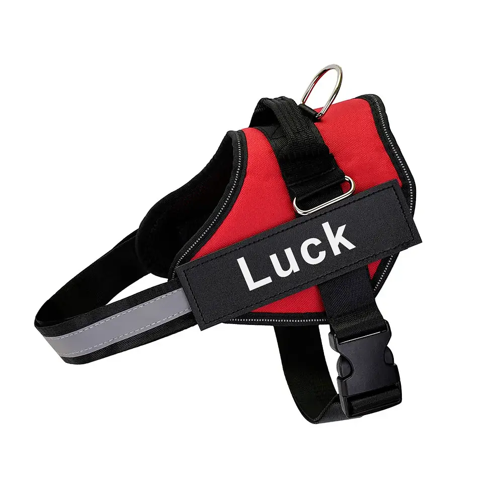 Thumbnail: Personalized Dog Harness Reflective