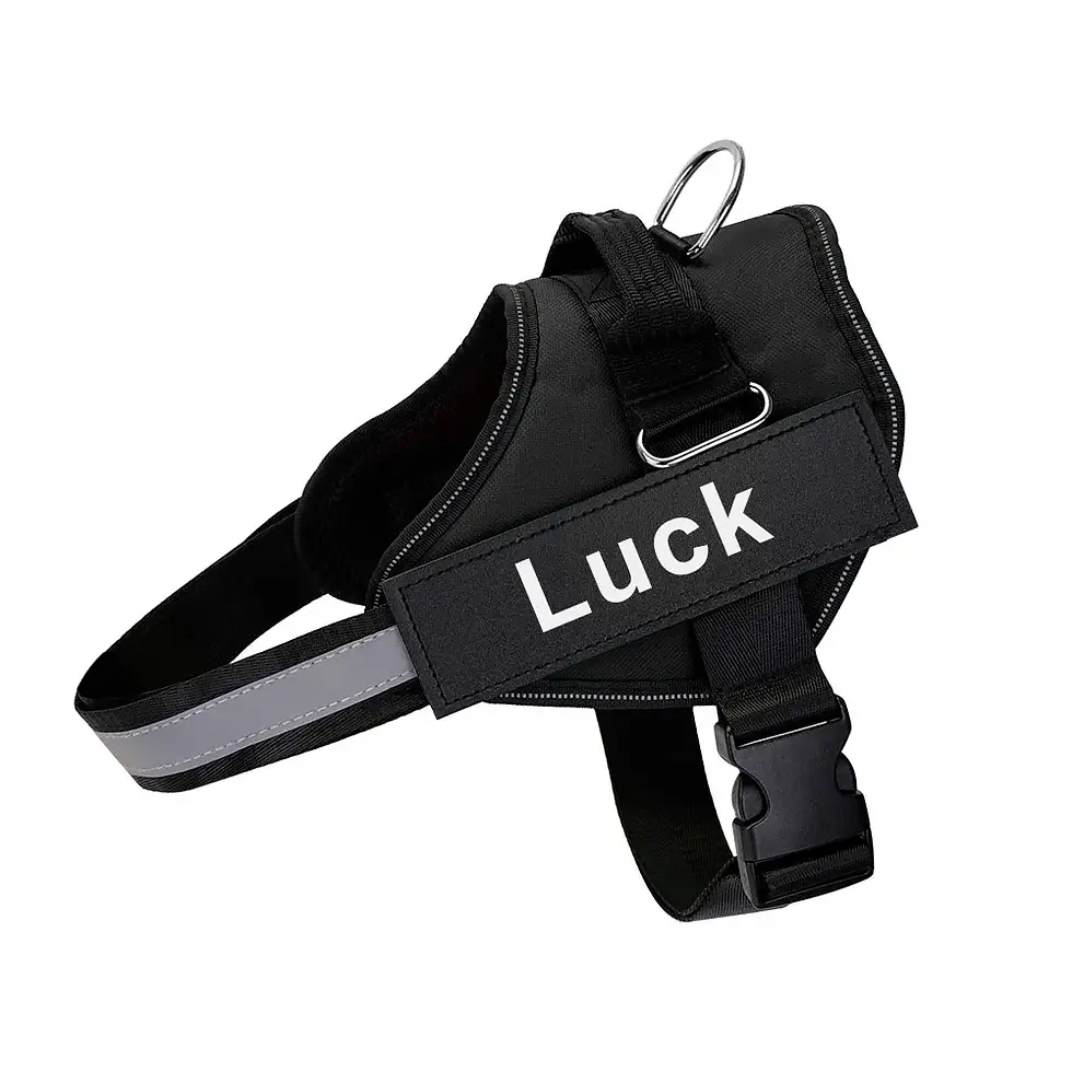 Thumbnail: Personalized Dog Harness Reflective