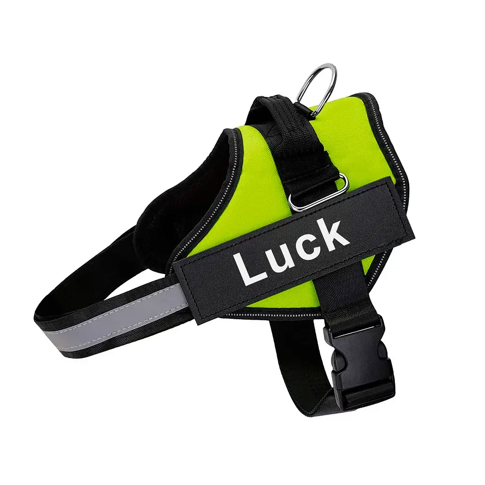 Thumbnail: Personalized Dog Harness Reflective