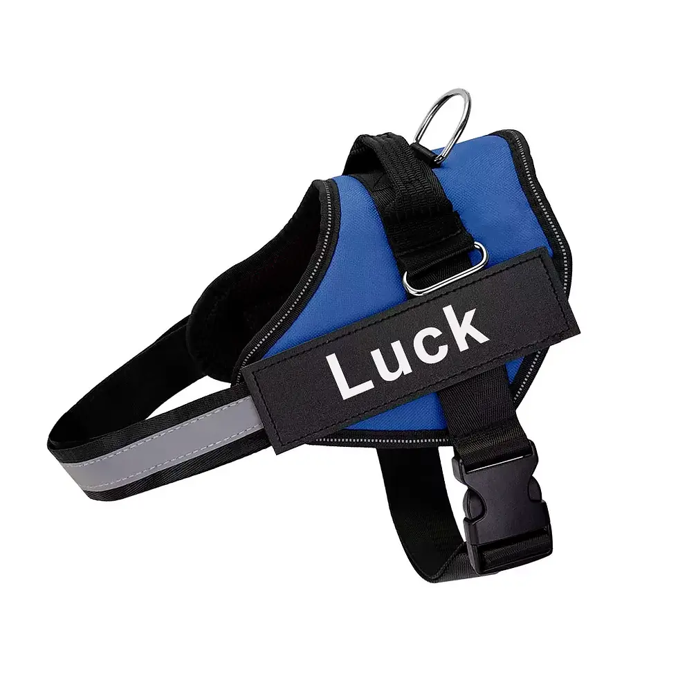 Thumbnail: Personalized Dog Harness Reflective