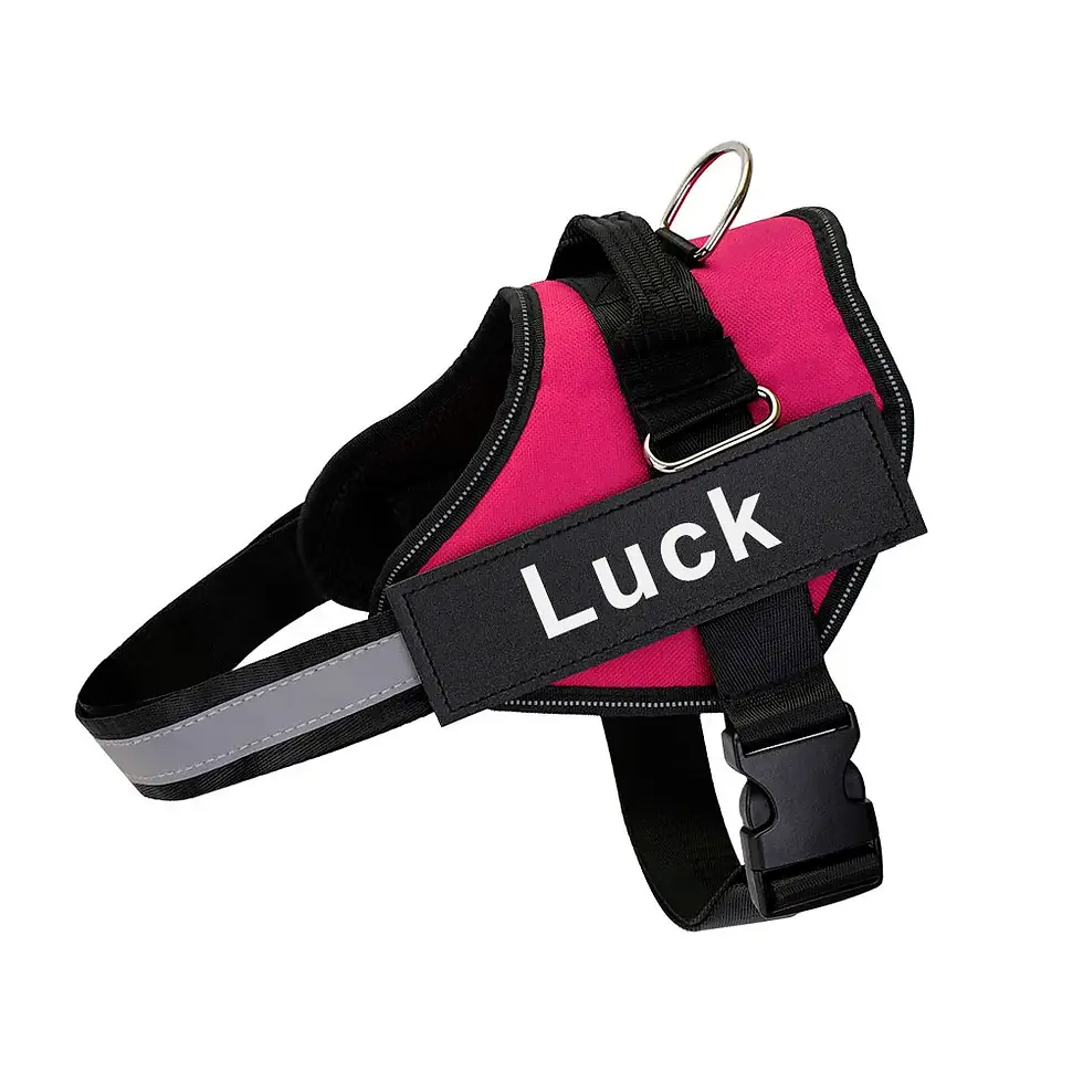 Thumbnail: Personalized Dog Harness Reflective
