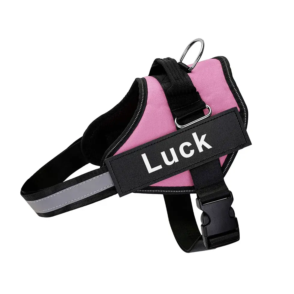 Thumbnail: Personalized Dog Harness Reflective