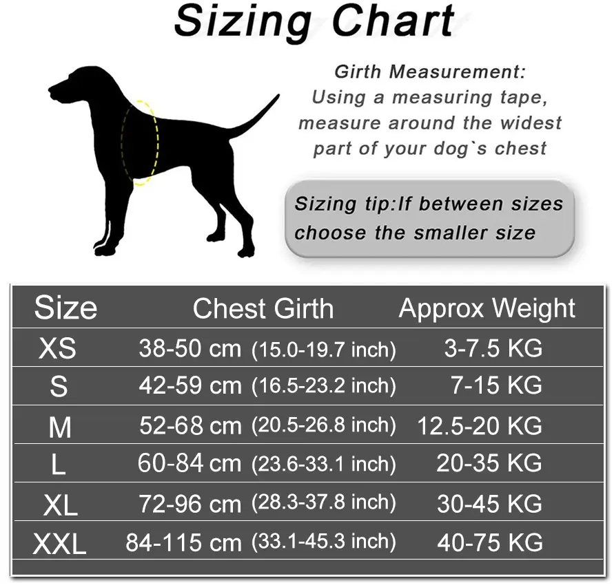 Thumbnail: Personalized Dog Harness Reflective
