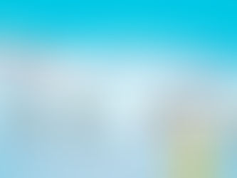 Website Development