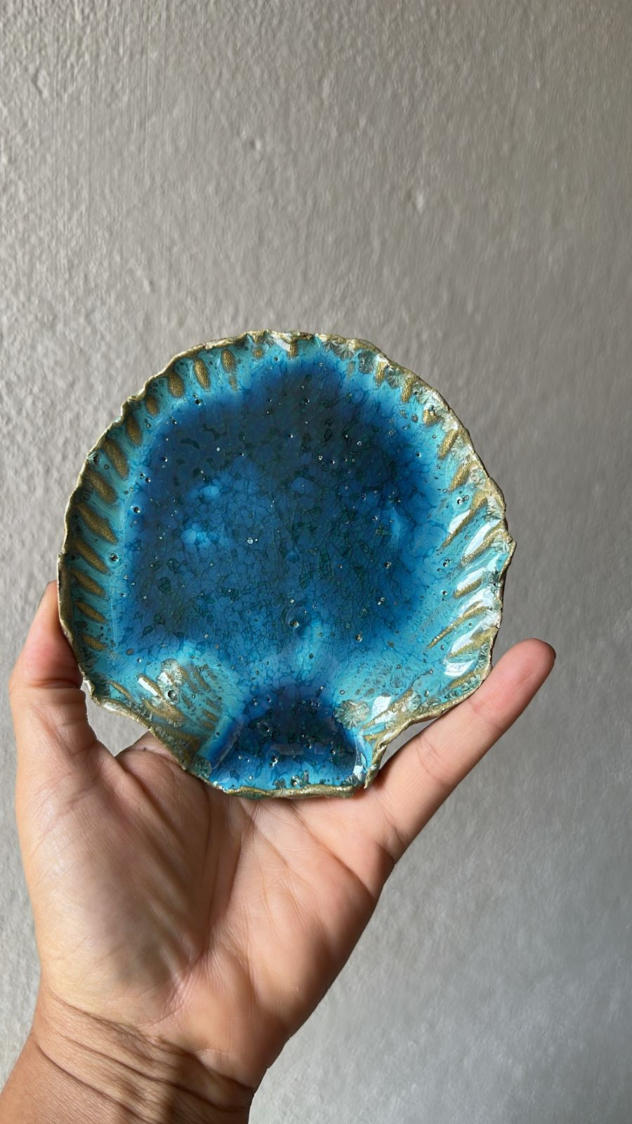 Miniatura: Concha Enseada de Corais