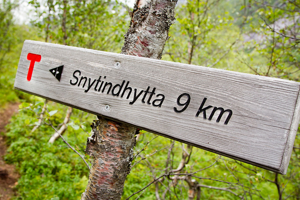 lofoten2012-34.jpg