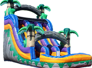 Bounce Houses & Party Rentals Downey Double Slide Jumpers Obstacle Course Water Slides Inflatables Near me rental rent near downey