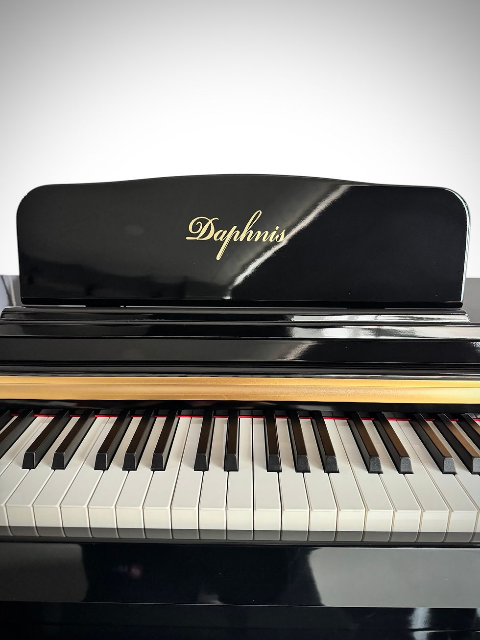 Thumbnail: DAPHNIS DP-222 Gloss Black DİJİTAL KONSOL PİYANO (TABURE+KULAKLIK HEDİYELİ)