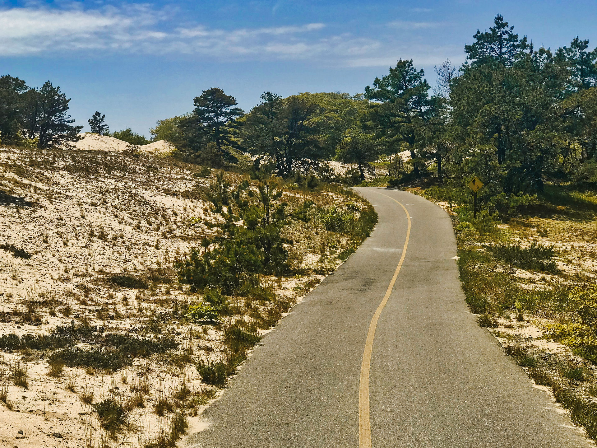 Province Lands Bike Trail