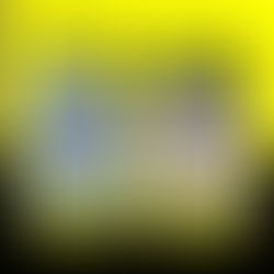 Coastal Paver Sealing Services for Gulf Harbors Homes