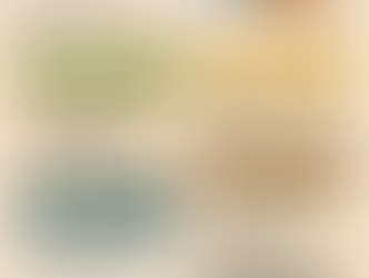 Tampa Maintenance Calendar: Quarterly Paver Care Checklist