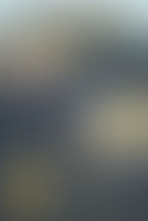 Brick Paver Sealing in Florida: Services, Contractors, and What to Expect