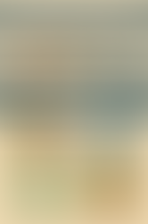 Pavers in Florida: Care, Maintenance & Long-Term Protection