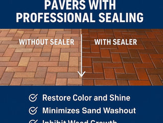 Brick Paver Sealing in Wesley Chapel, FL: Protect Your Investment from Florida’s Harsh Weather