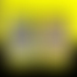 Essential Brick Paver Maintenance Tips for Humid Mango Properties