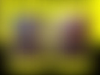 A Safer, Long-Lasting Solution: Brick Pavement Sealer in Gibsonton, FL