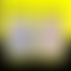 Protect Your Investment: Paver Cleaning for St. Joseph Homeowners