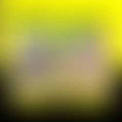 Avoid Slippery Surfaces: Algae Removal and Paver Cleaning in Feather Sound