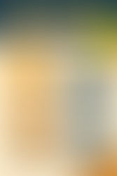 Brick Paver Problems and Fixes: Florida Climate Edition