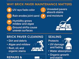 The Homeowner’s Guide to Brick Paver Maintenance in Central Florida