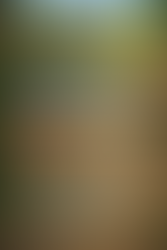 Breaking Down the 7-Step Brick Paver Sealing Process Developed by Premier Coatings