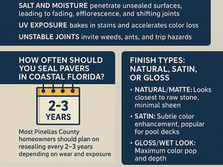 Brick Paver Sealing in Pinellas County: Costs, Timing, and the Exact Process Homeowners Should Expect
