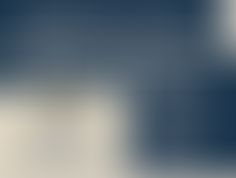 Brick Paver Sealing in Pinellas County: Costs, Timing, and the Exact Process Homeowners Should Expect