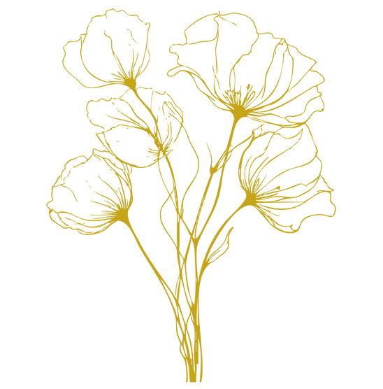 Névtelen terv (8).png