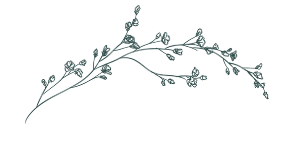 Green Organic Warm Food and Restaurant Bio-Link Website (12).png