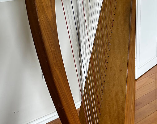 Allegro 26 String #2