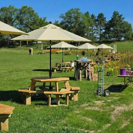The Hobby Farm