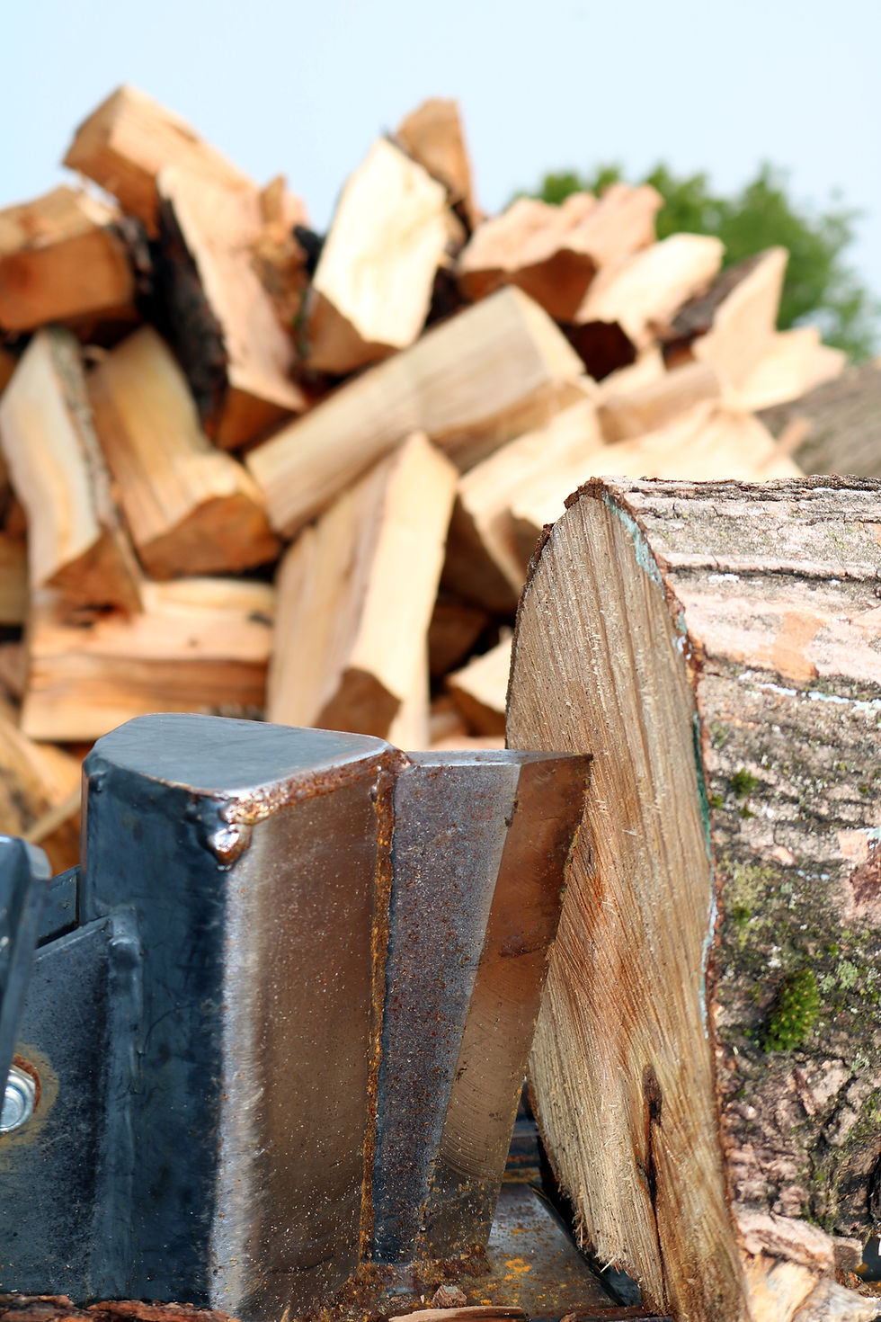 Thumbnail: Maple Wood - FREE SHIPPING TO THE LOWER 48 STATES