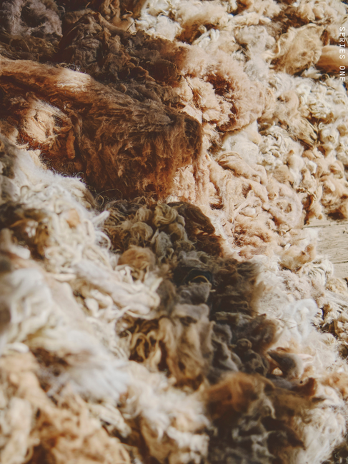 Sustainable and conscious Alpaca Blanket, ideal for luxury home decor ideas for a high-end interior with Sierra Home