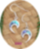 2362 "Paua-Koru"