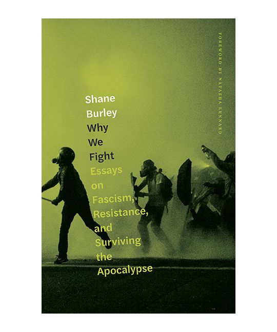 Fascism dbq essay picture