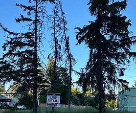 2 Lots Queensway