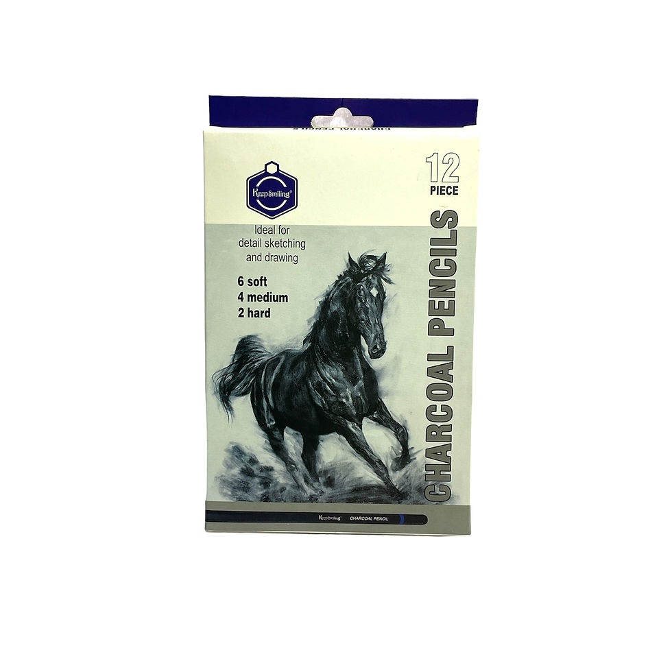 Miniatura: Set Lapiz Carboncillo *12