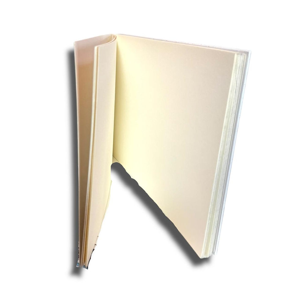 Miniatura: Bitácora Vincent Van Gogh 15 X 21