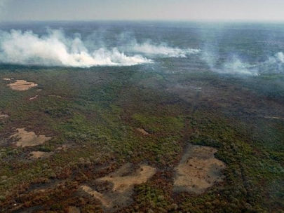 Fogo consome Pantanal: Destruição por queimadas supera recorde histórico