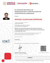 0010183221-RAPHAEL JULIEN HAAS HERREMAN-ICEMÉXICO_page-0001.jpg