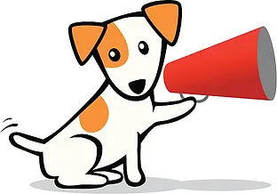 M M Pet Care Pet Sitting Bedford Nh