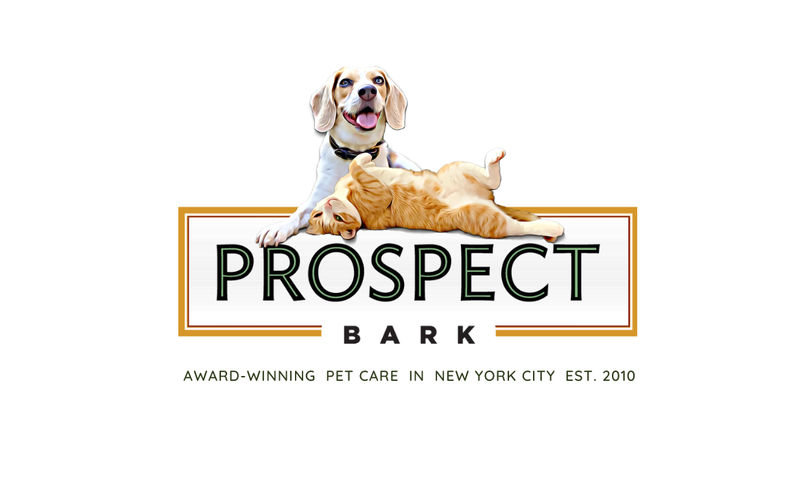 ProspectBArk