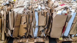 AdobeStock_325850776.jpeg