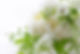 24時間365日受付